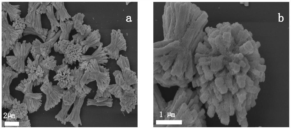 A fast hydrothermal preparation method of tetragonal copper bismuthate photocatalyst and its application in degrading methylene blue