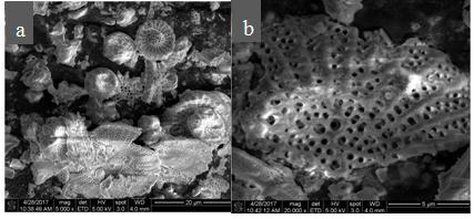 Sewage purification agent for modified titanium dioxide chelated polyaluminum iron silicate