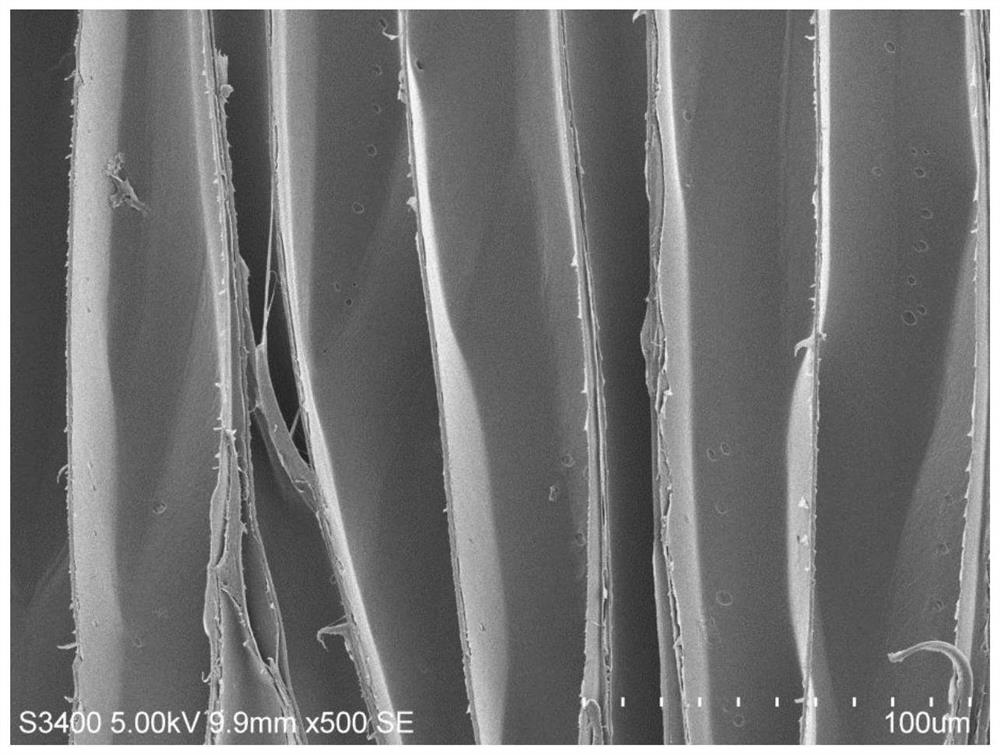 A kind of preparation method of porous wood carbon modified metal lithium negative electrode material