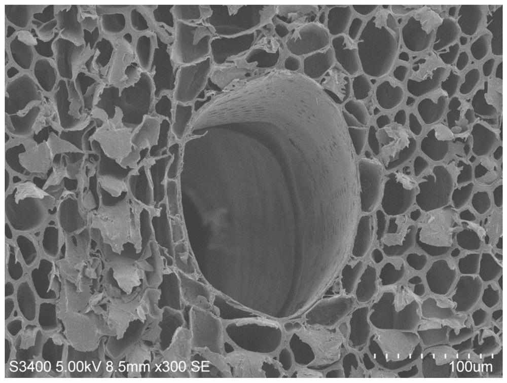 A kind of preparation method of porous wood carbon modified metal lithium negative electrode material