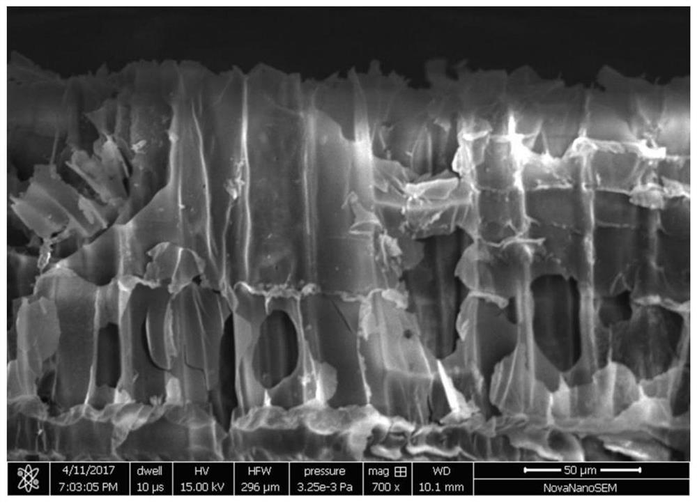 A kind of preparation method of porous wood carbon modified metal lithium negative electrode material