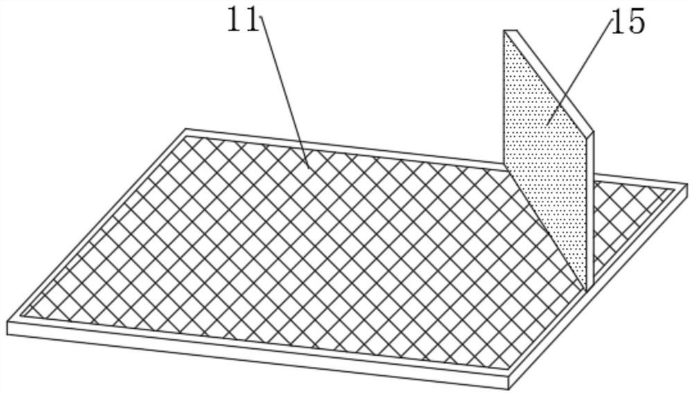 Shelling device for camellia oleifera fruits