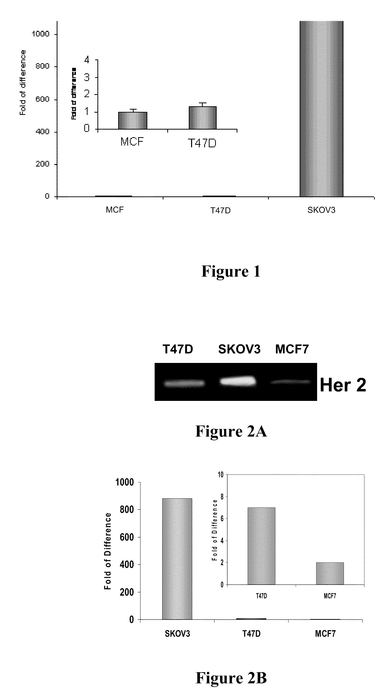 Microvesicle-based compositions and methods