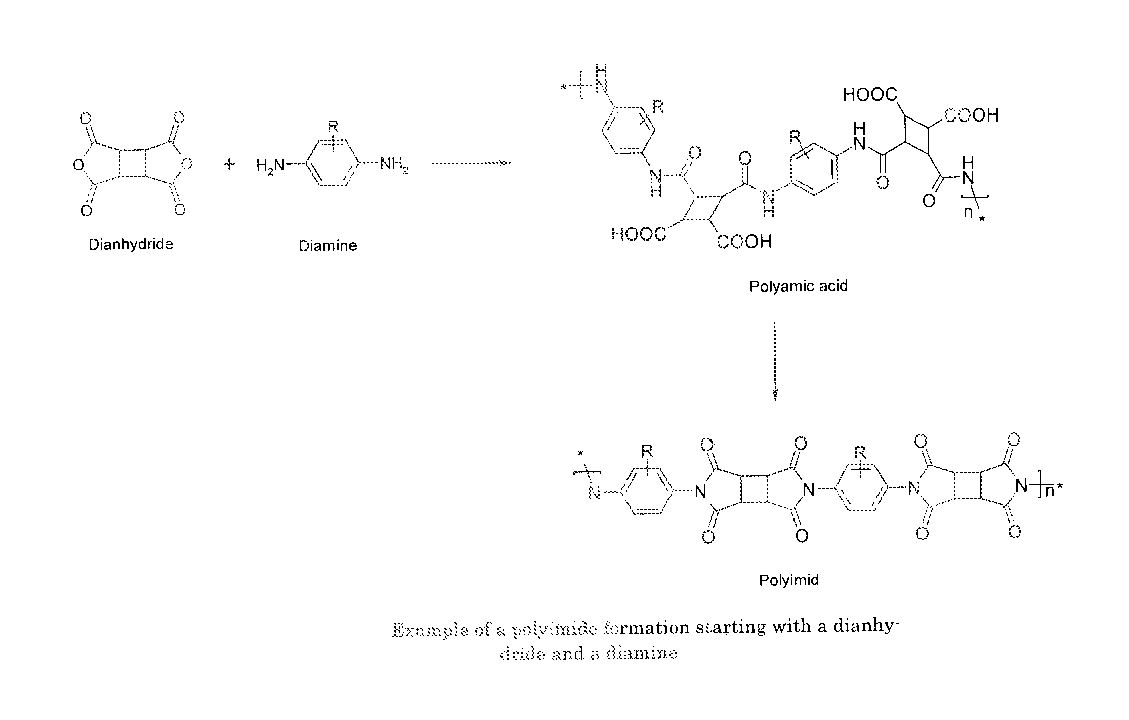 Polyamic acid and a polyimide obtained by reacting a dianhydride and a diamine