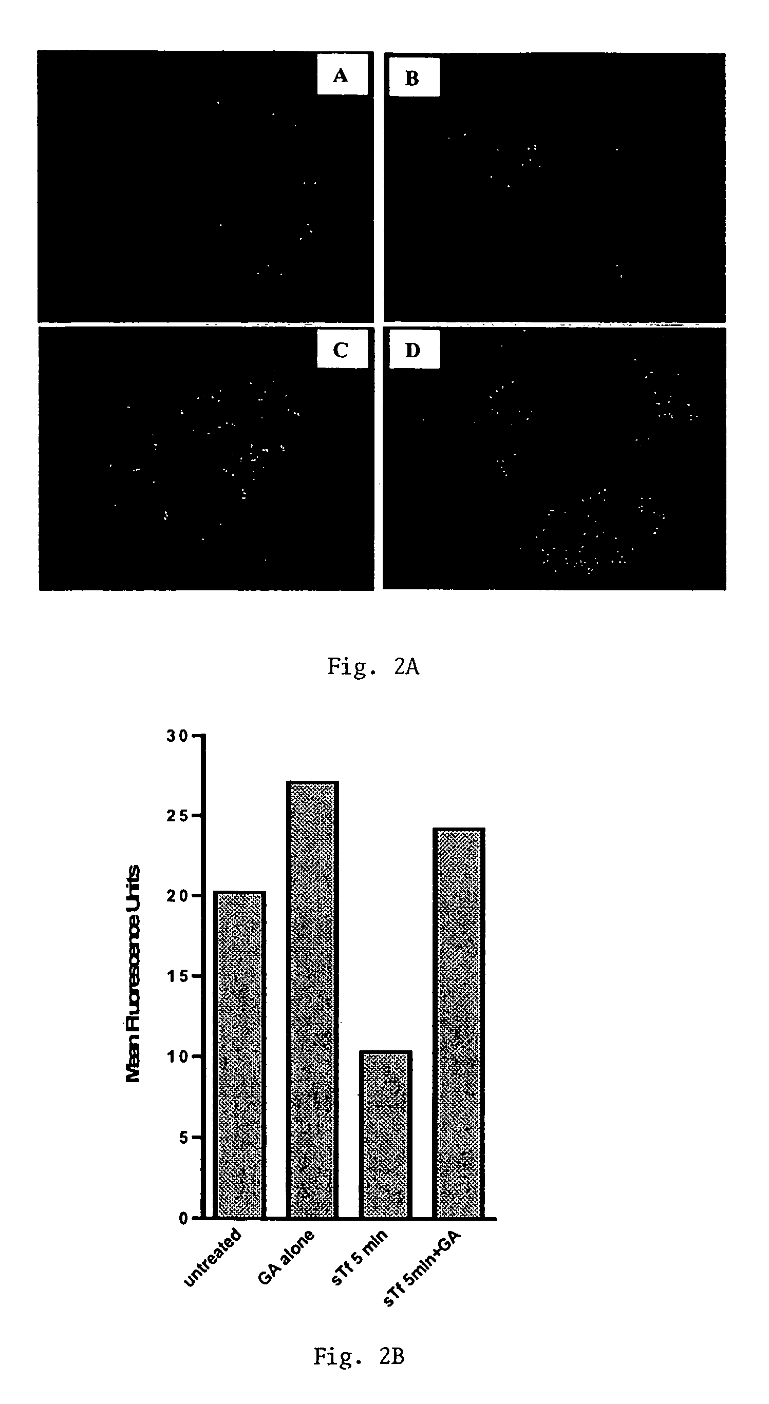 Methods of treating diseases responsive to induction of apoptosis and screening assays