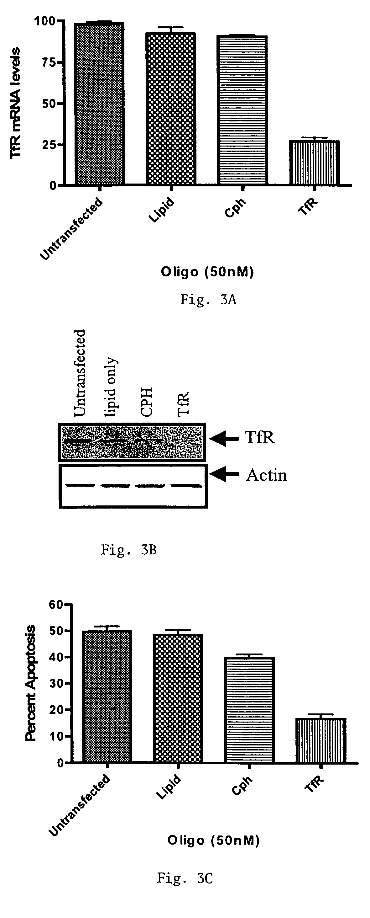 Methods of treating diseases responsive to induction of apoptosis and screening assays