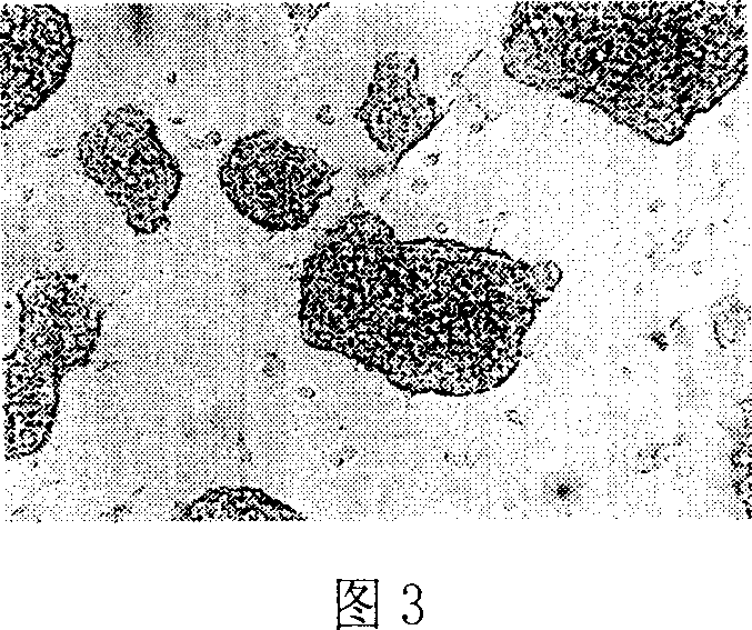 Snake venom polypeptide and its preparation method