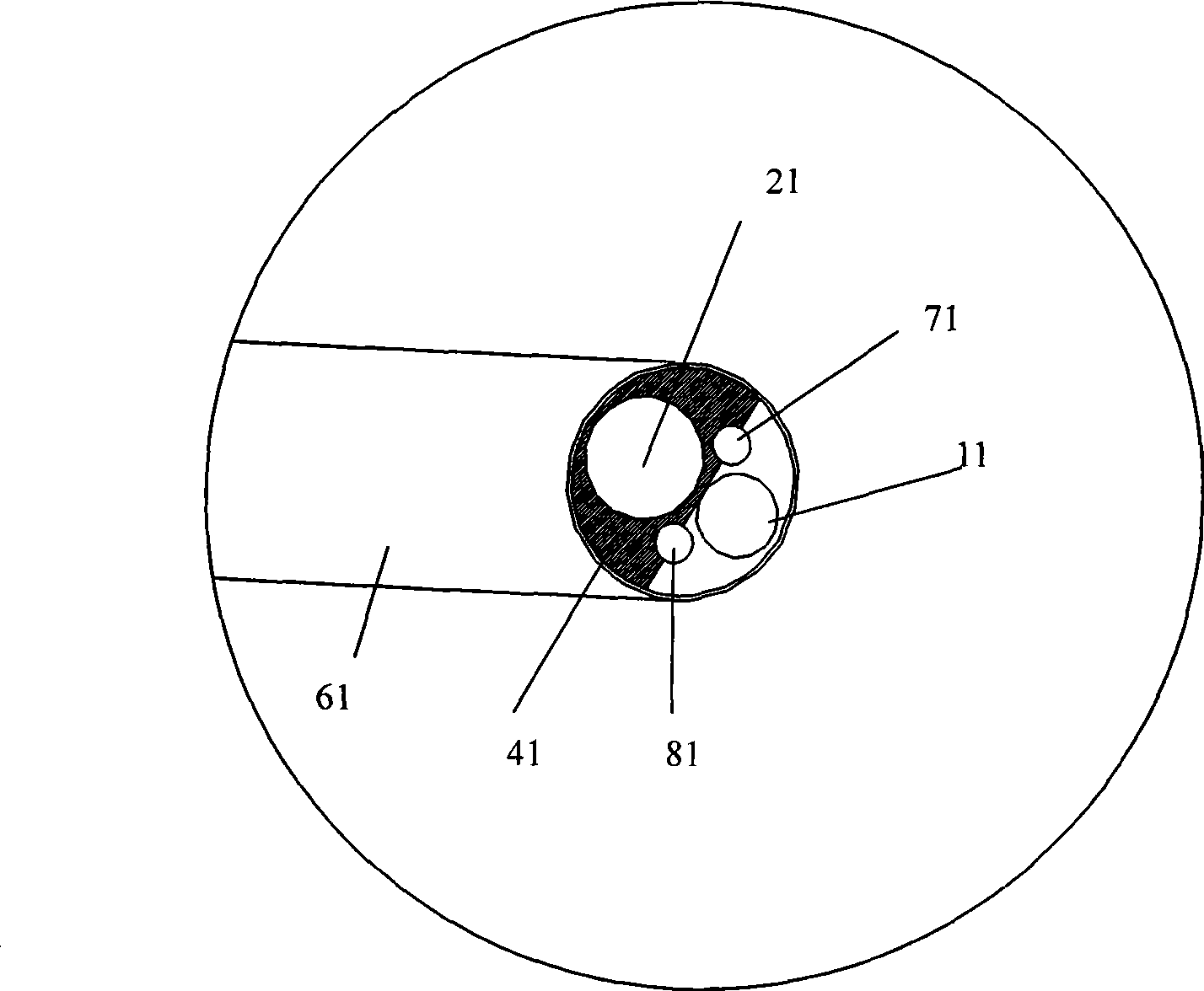 Hard child and mother gall bladder endoscope and method