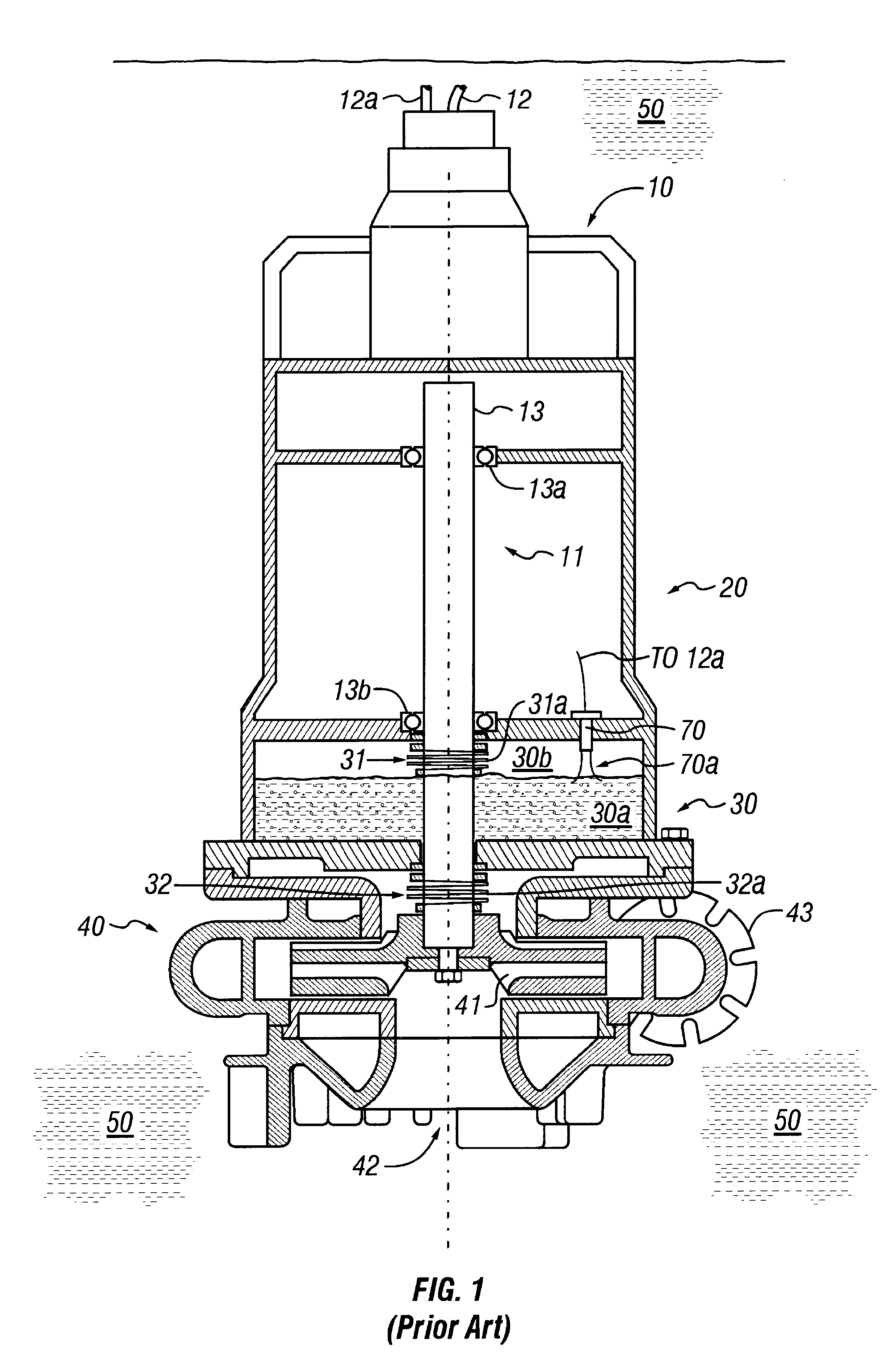Pressurized seal for submersible pumps