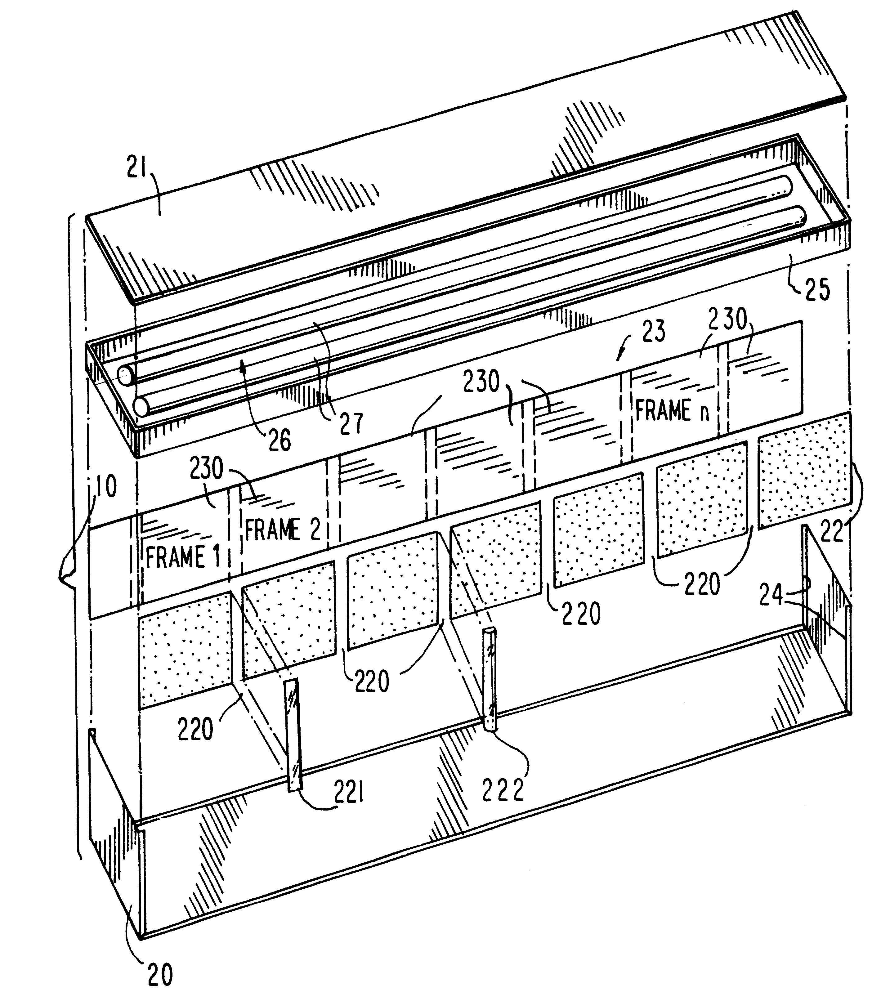 Apparatus for displaying images to viewers in motion