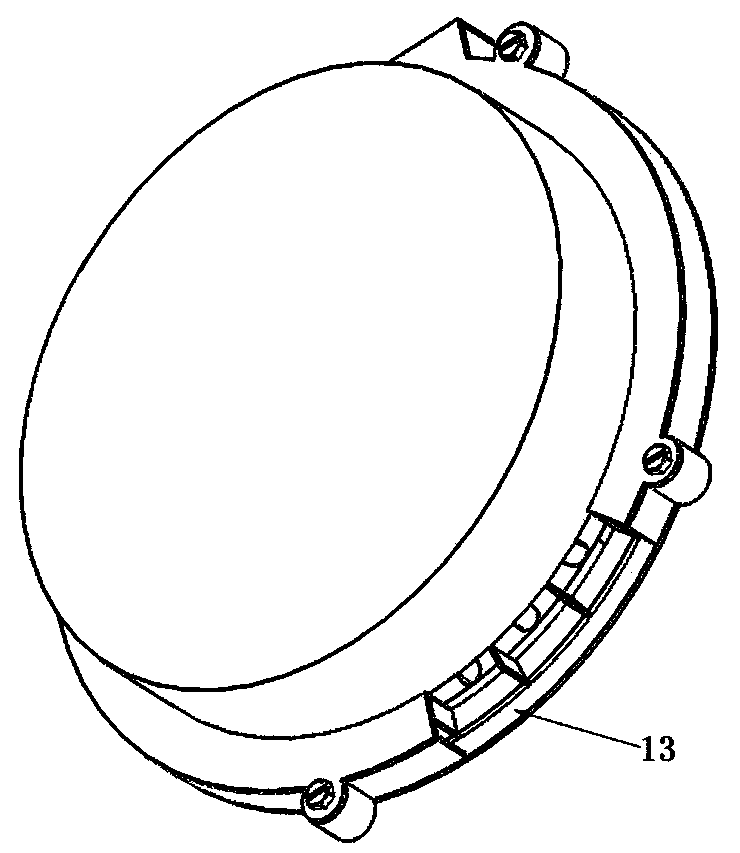 Seed discharging device