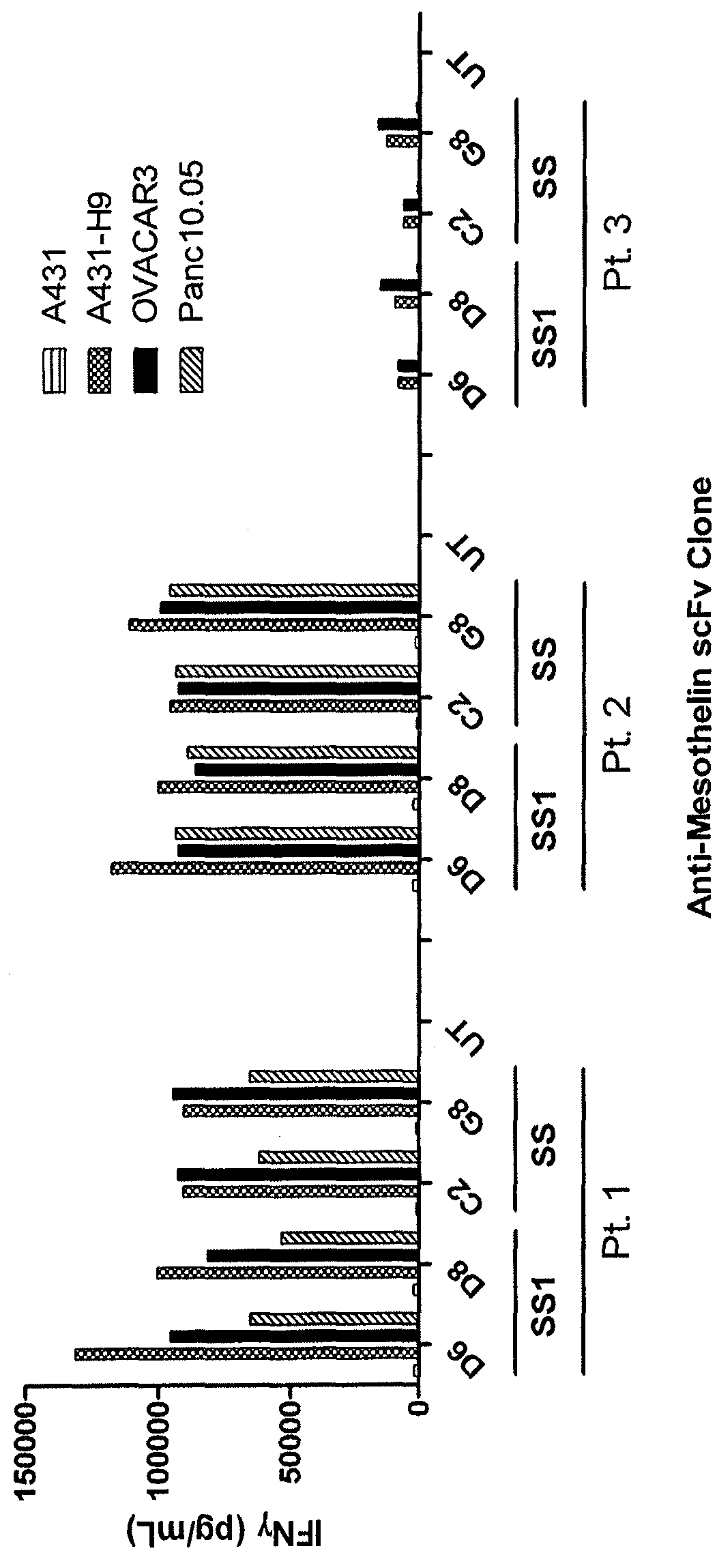 Anti-mesothelin chimeric antigen receptors