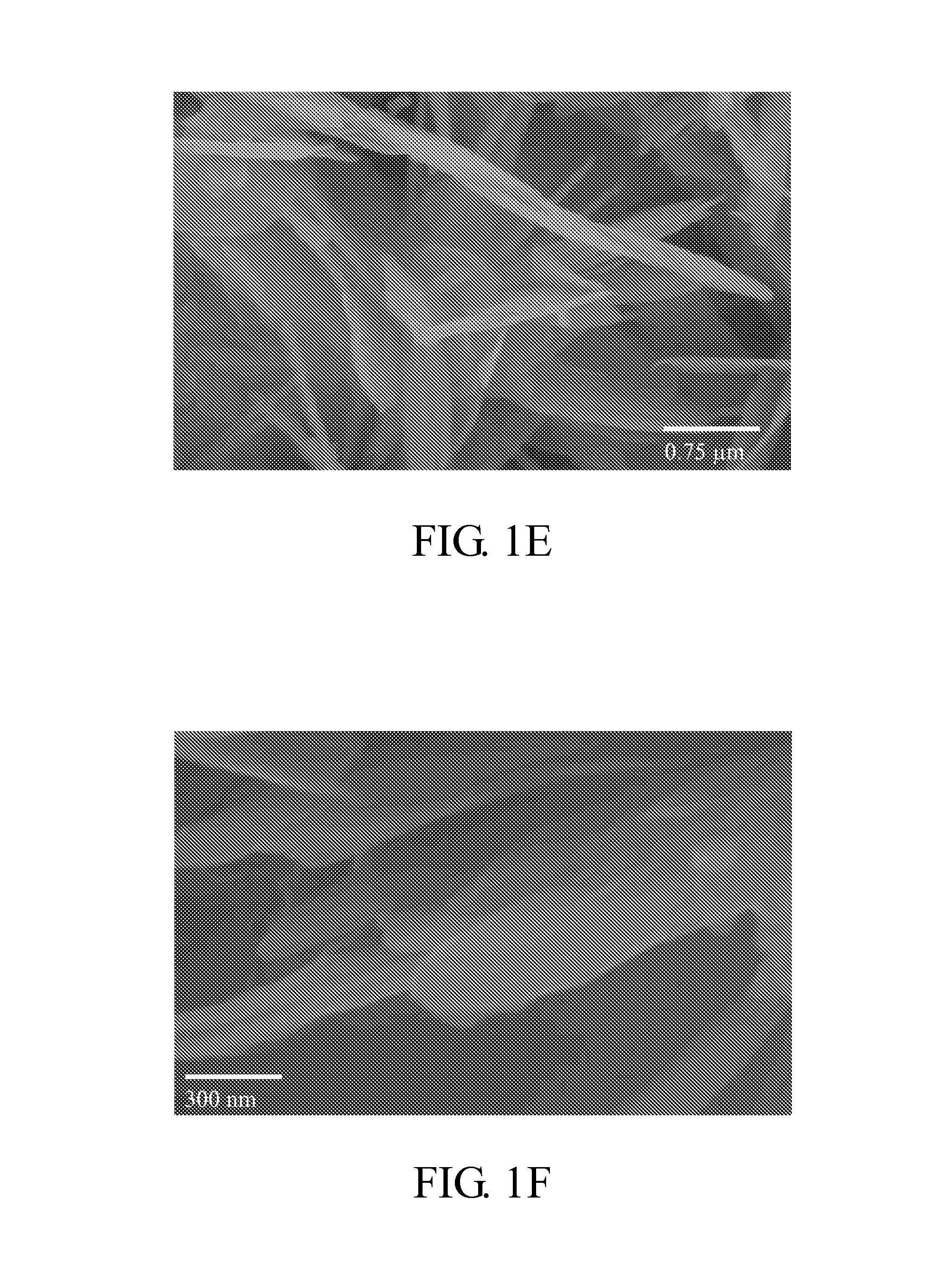 Ferrous phosphate powders, lithium iron phosphate powders for li-ion battery, and methods for manufacturing the same