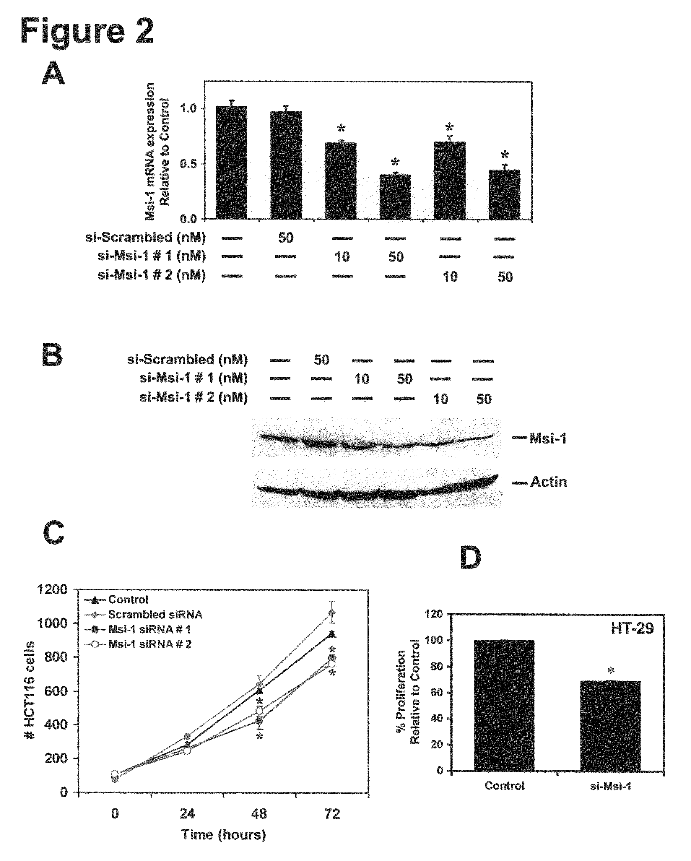 Compositions comprising inhibitors of RNA binding proteins and methods of producing and using same