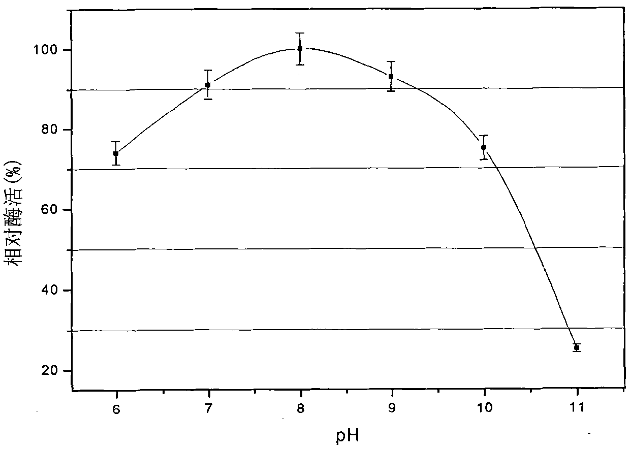 Organic solvent resistant protease producing strain, gene of organic solvent resistant protease produced thereby and application of organic solvent resistant protease