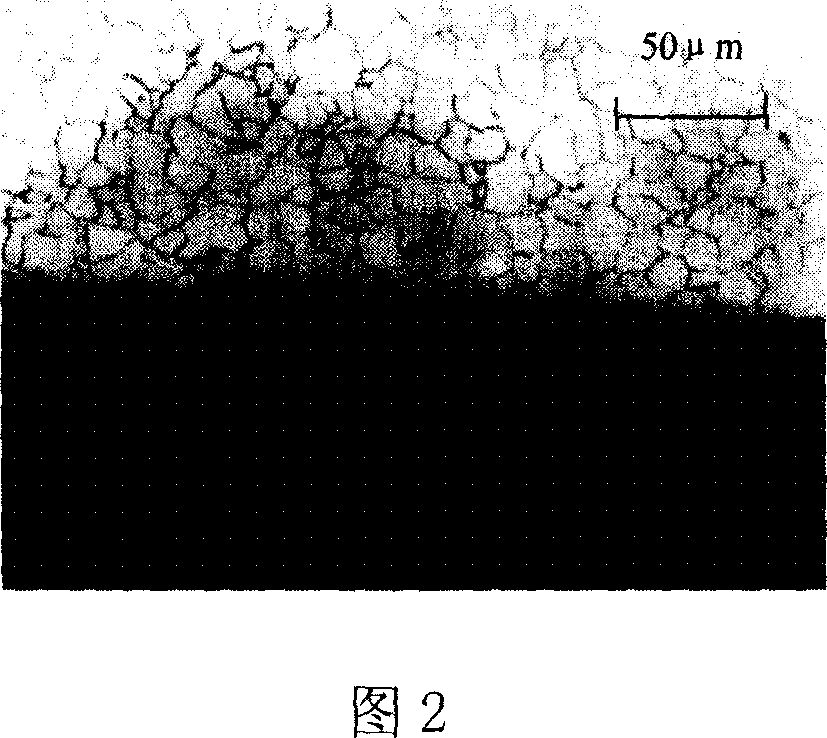 Steel plate for hot-rolled double-side enamel and method for producing same