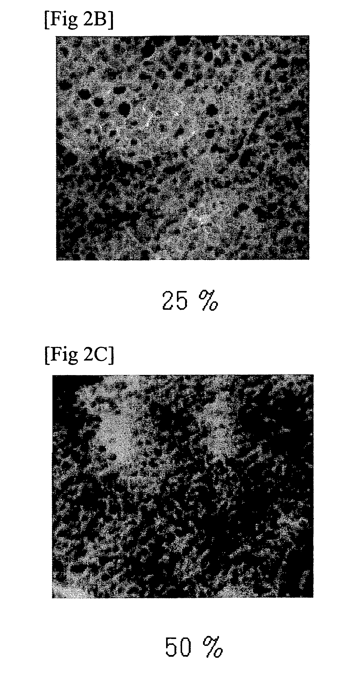 High density magnetic recording medium using FePtC thin film and manufacturing method thereof