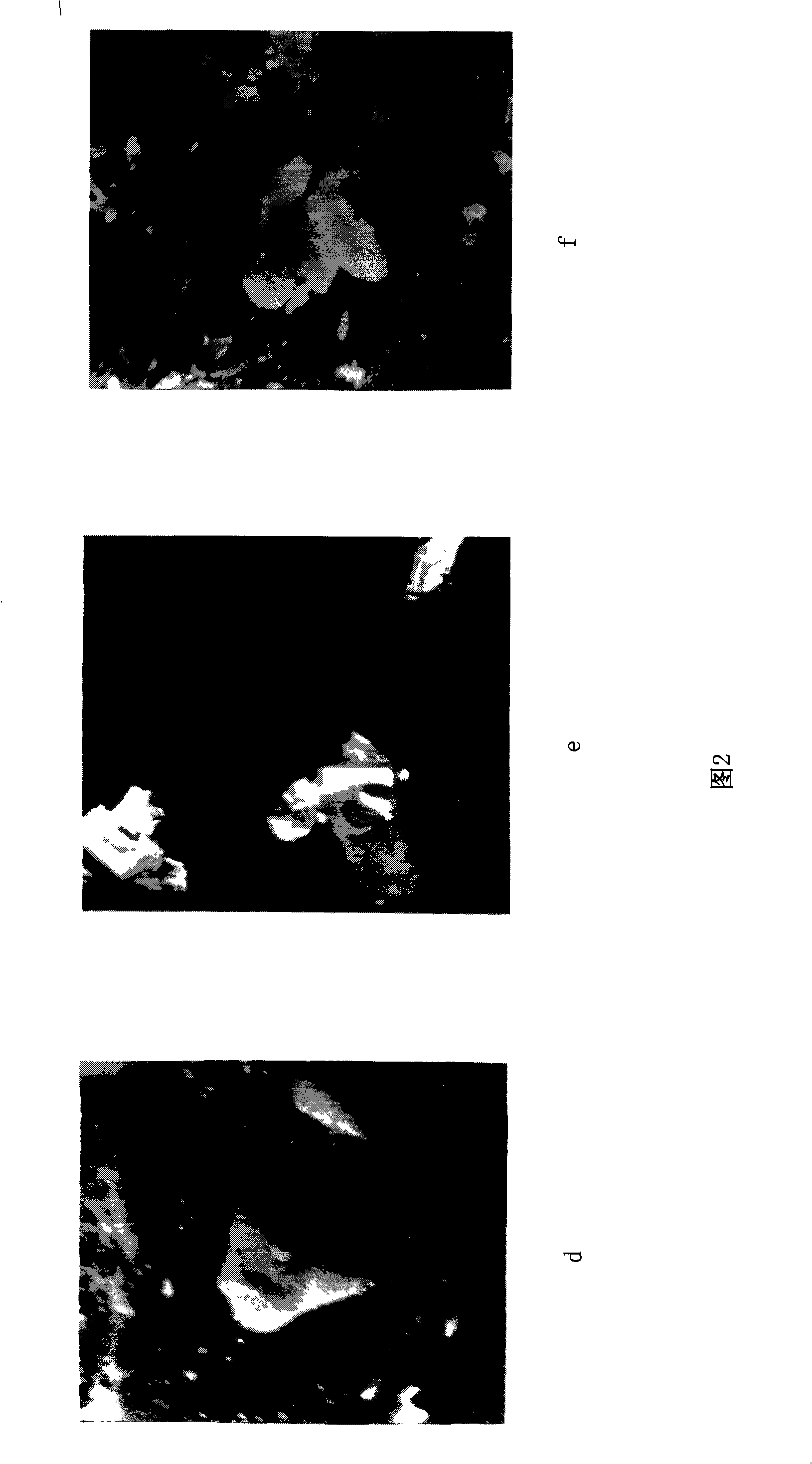 Light conversion agent composition and preparation thereof, preparation of light conversion agricultural film
