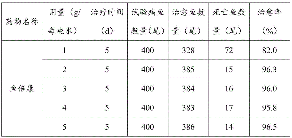 Method for preventing and treating ichthyophthirius multifiliis of maccullochella peelii