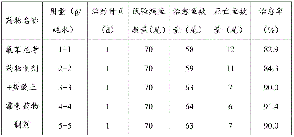 Method for preventing and treating ichthyophthirius multifiliis of maccullochella peelii