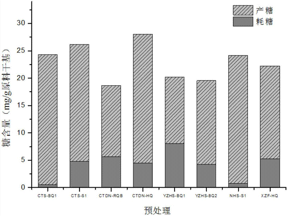 Bacillus for promoting enzymolysis of eichhornia crassipes substrate to produce sugar and application thereof