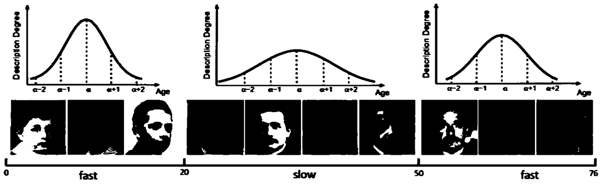 Semi-supervised face age estimation device and semi-supervised face age estimation method