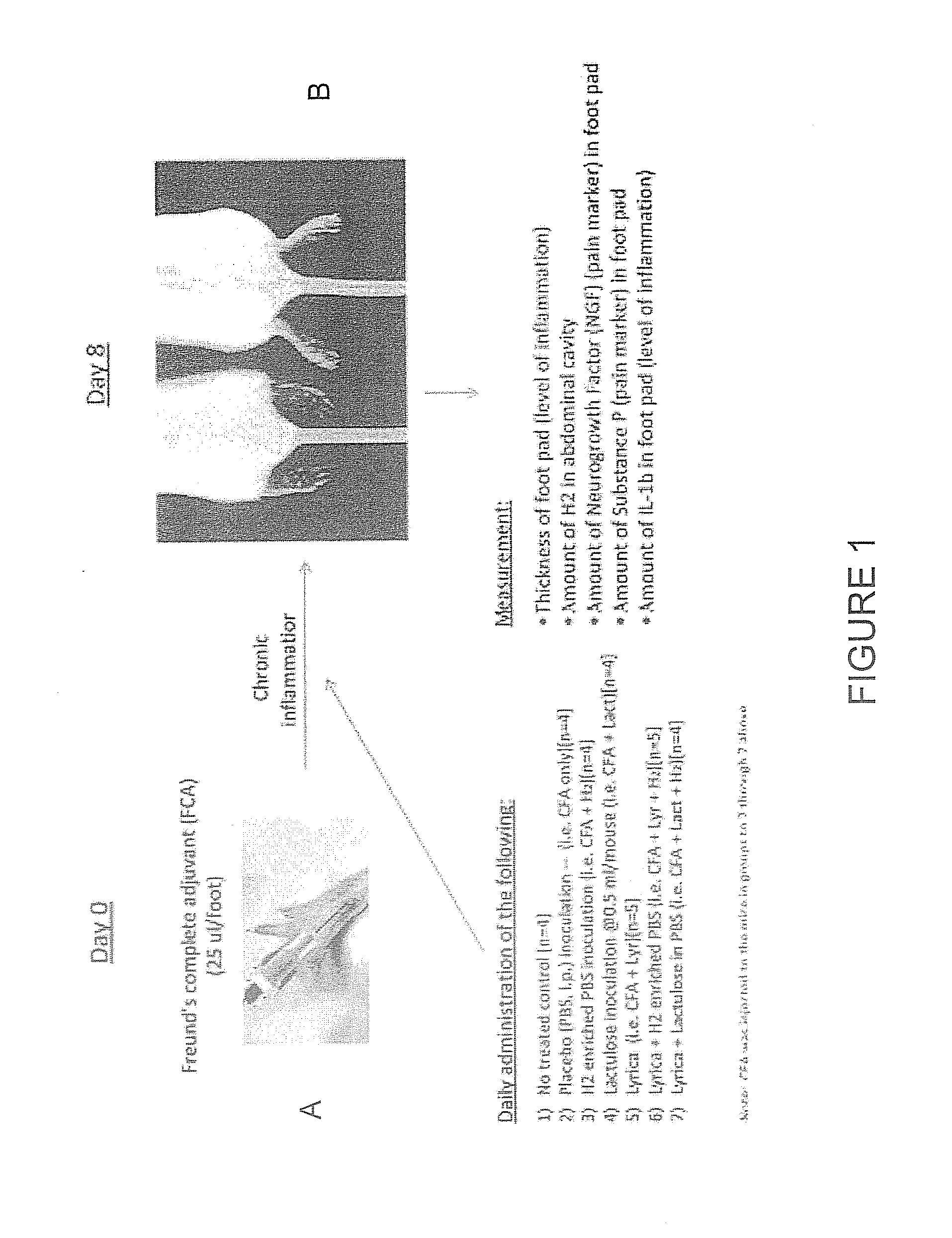 Anti-inflammatory compounds in combination with hydrogen for the treatment of inflammation