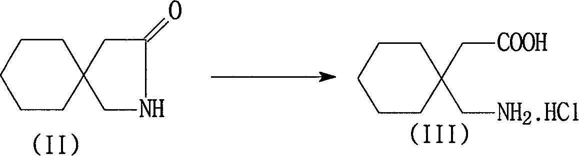 Preparation of gabapendin