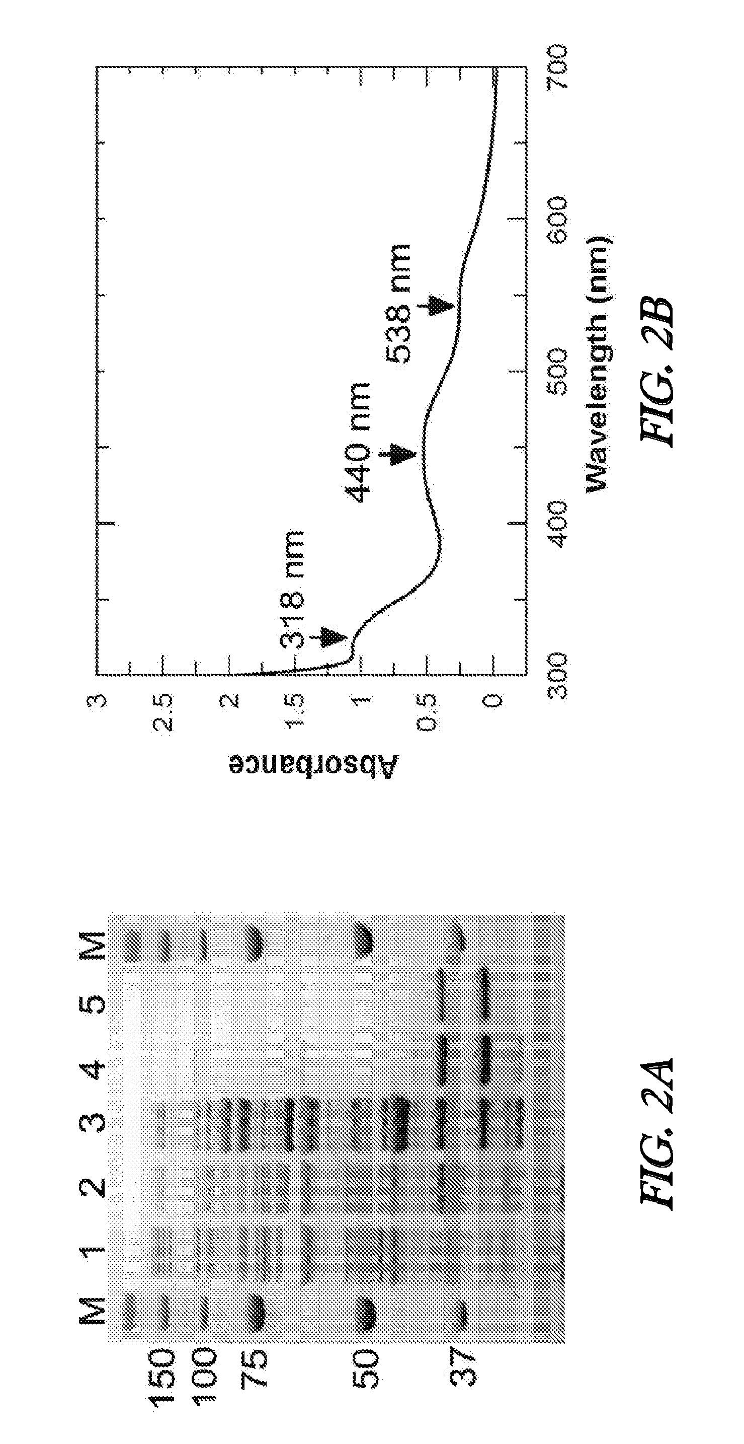 N-demethyase genes and uses thereof