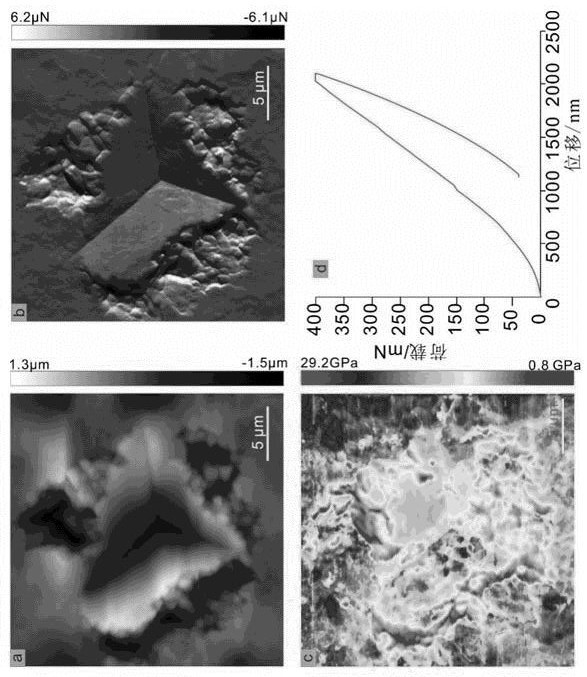 Method for determining macroscopic modulus of shale through fine/micro mechanical test