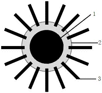 A kind of immobilized enzyme carrier and its preparation method and application