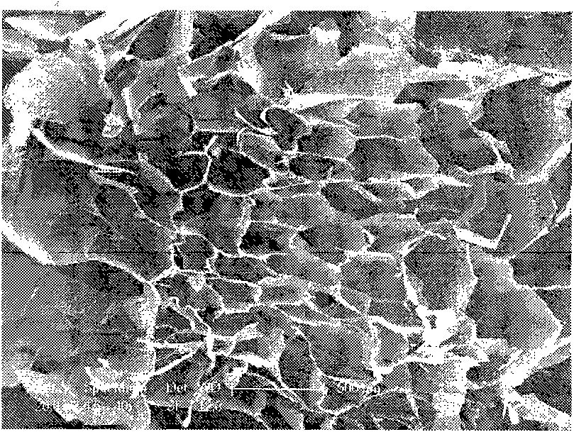 Sulfadiazine silver controlled-release gel and preparation method thereof