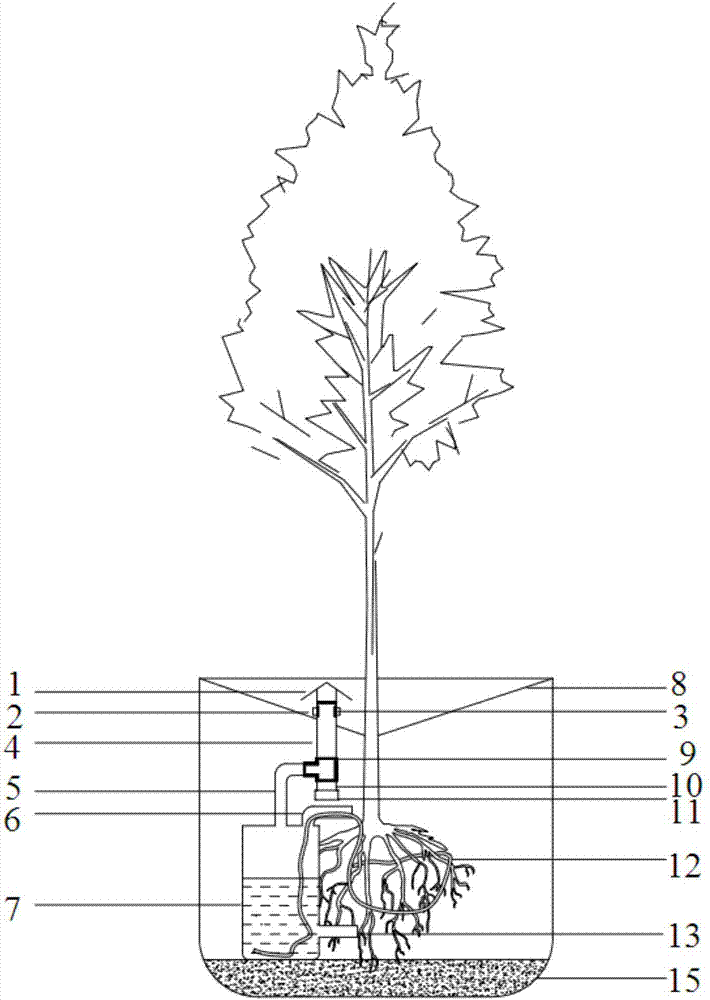 Method and device for planting trees by accumulating rain water