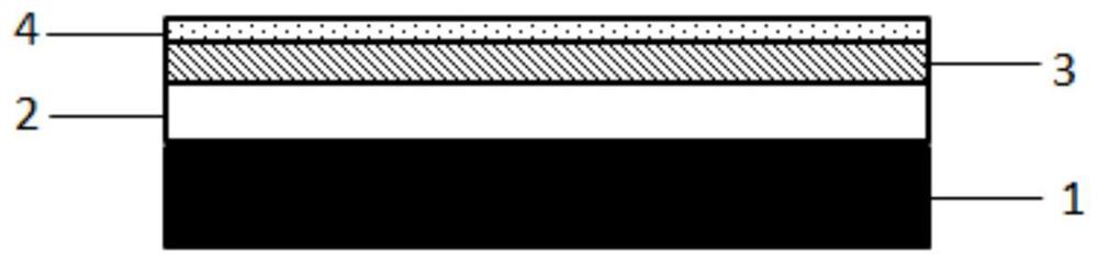 Plastic runway floor with disinfection and sterilization effects and preparation method of plastic runway floor