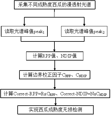 Spectrum characteristic-based rapid and nondestructive detection method of watermelon maturity