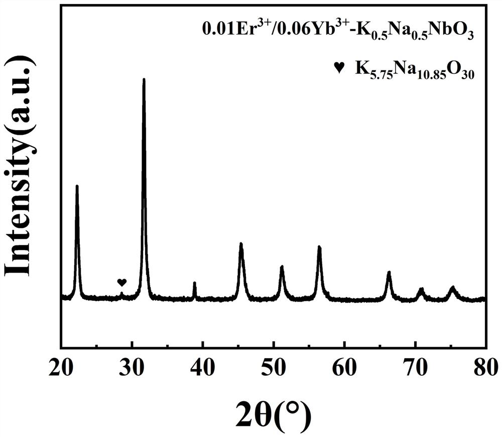 Ytterbium and up-conversion rare earth luminescent ion double-doped potassium sodium niobate thick film