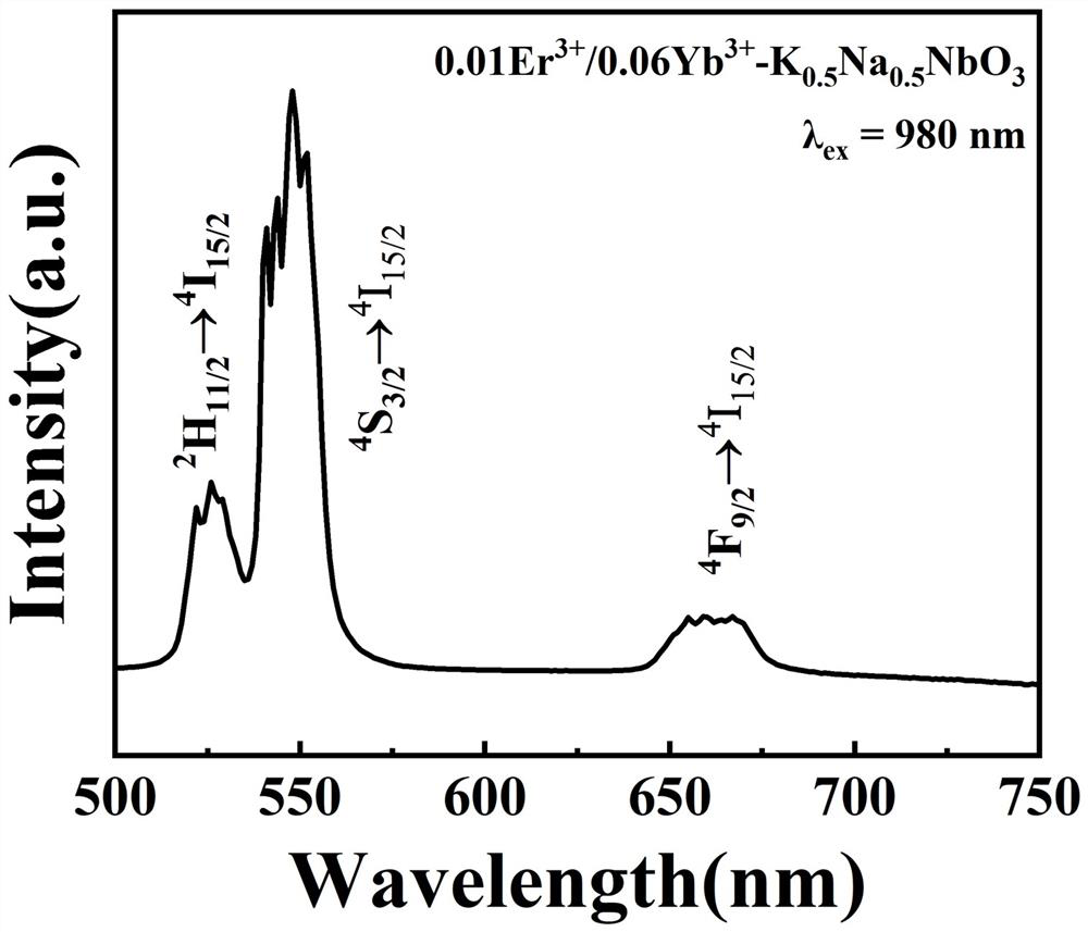 Ytterbium and up-conversion rare earth luminescent ion double-doped potassium sodium niobate thick film