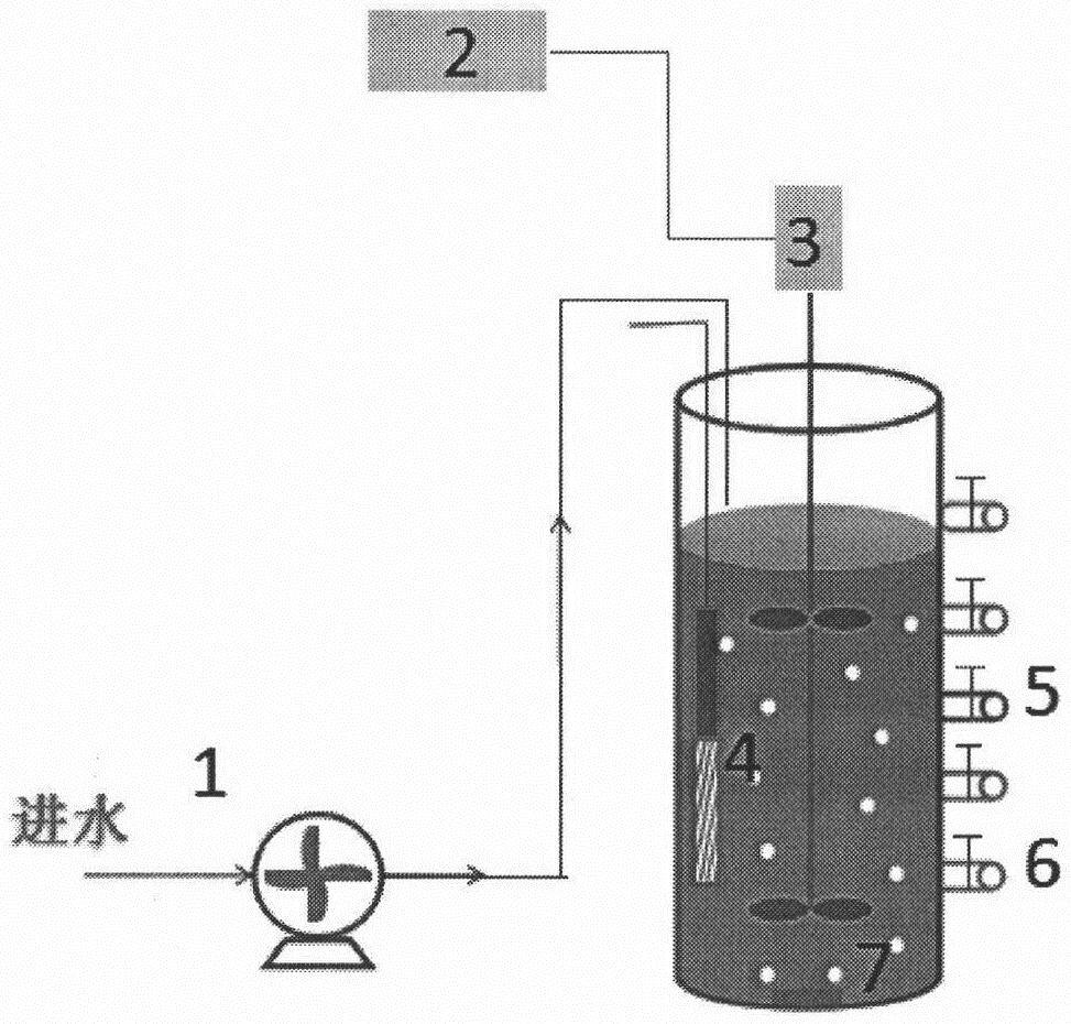 Method for starting one-stage SBR-anammox denitrification system