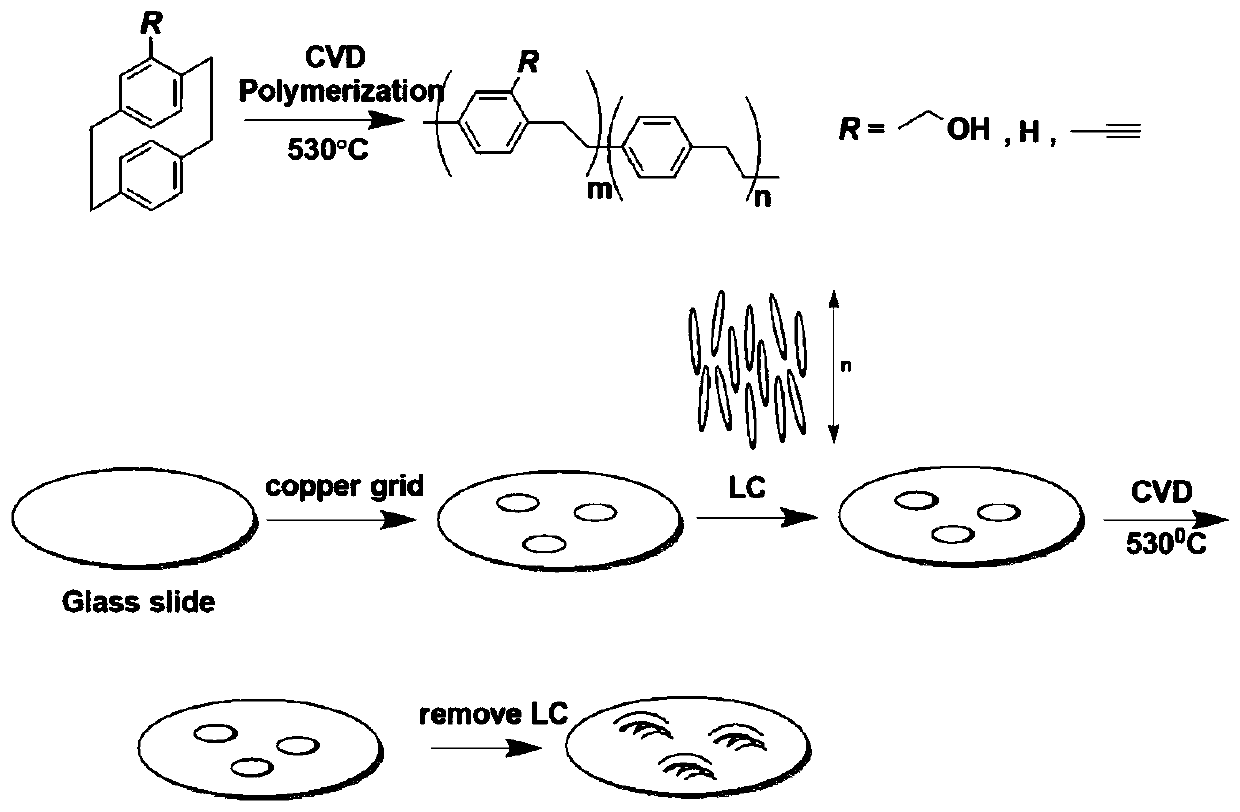 A method for preparing parylene nanofibers by chemical vapor deposition