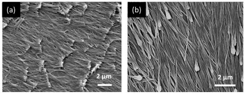 A method for preparing parylene nanofibers by chemical vapor deposition