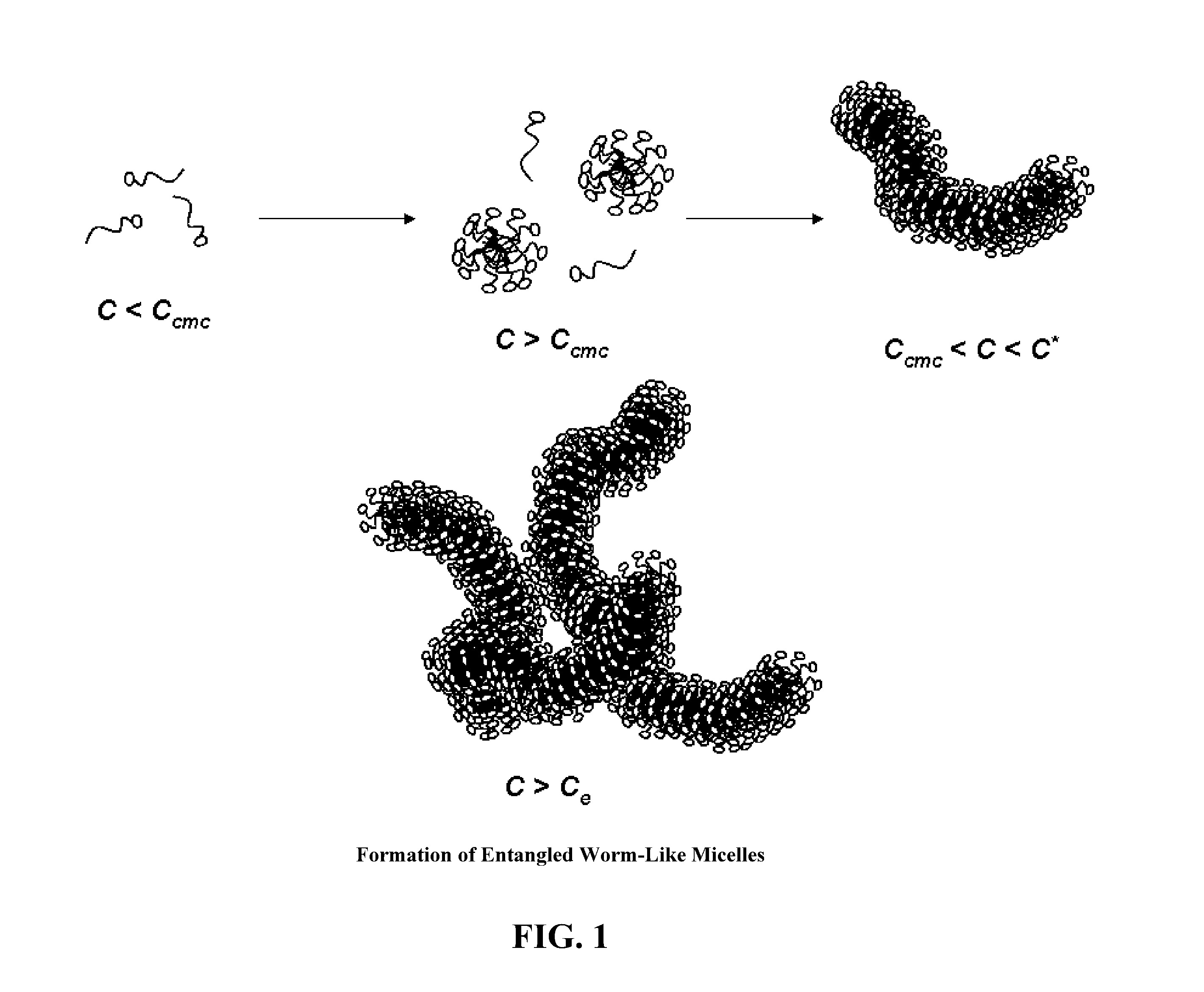 Amphiphilic Fibers and Membranes and Processes for Preparing Them