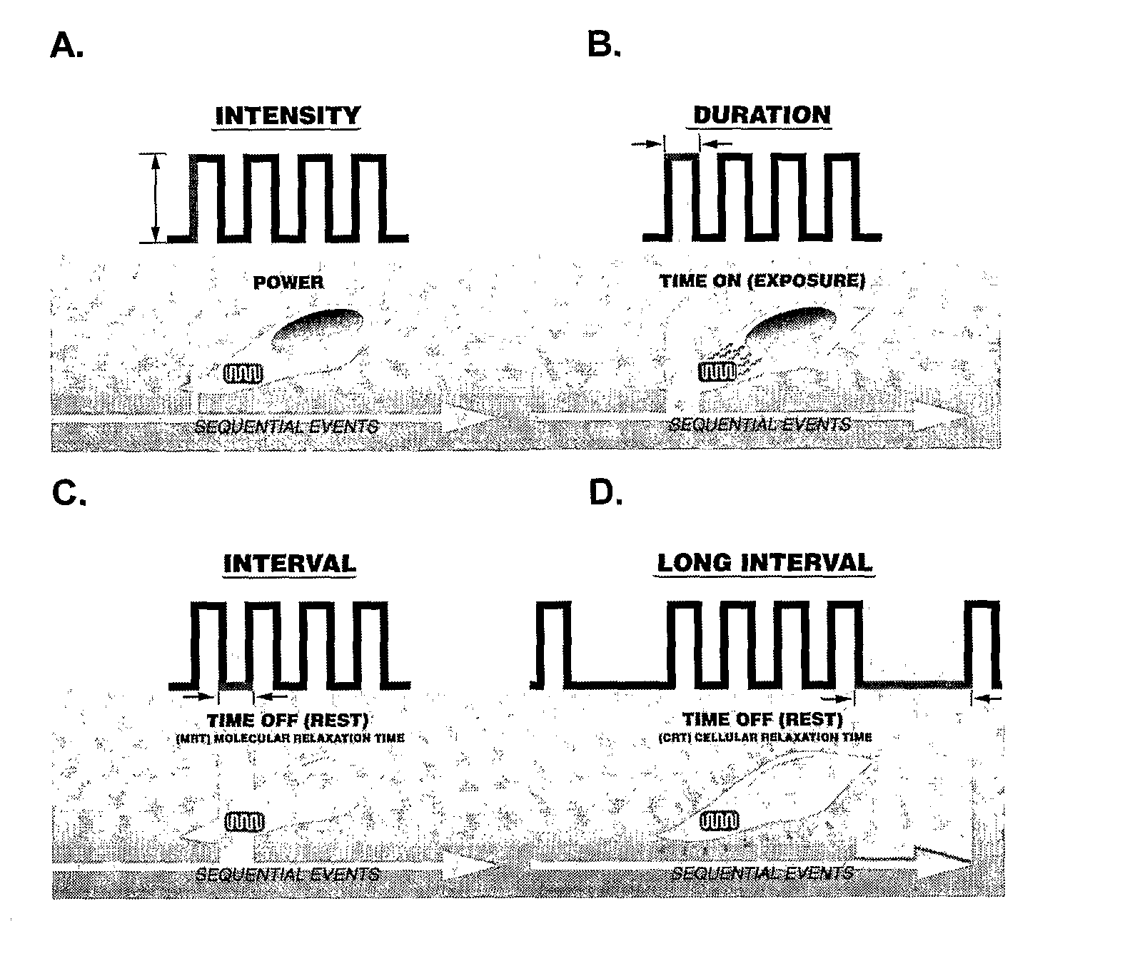 Method for the Treatment of Mammalian Skin Tissues Via Pulse Irradiation in the Presence of a Photoactive Compound