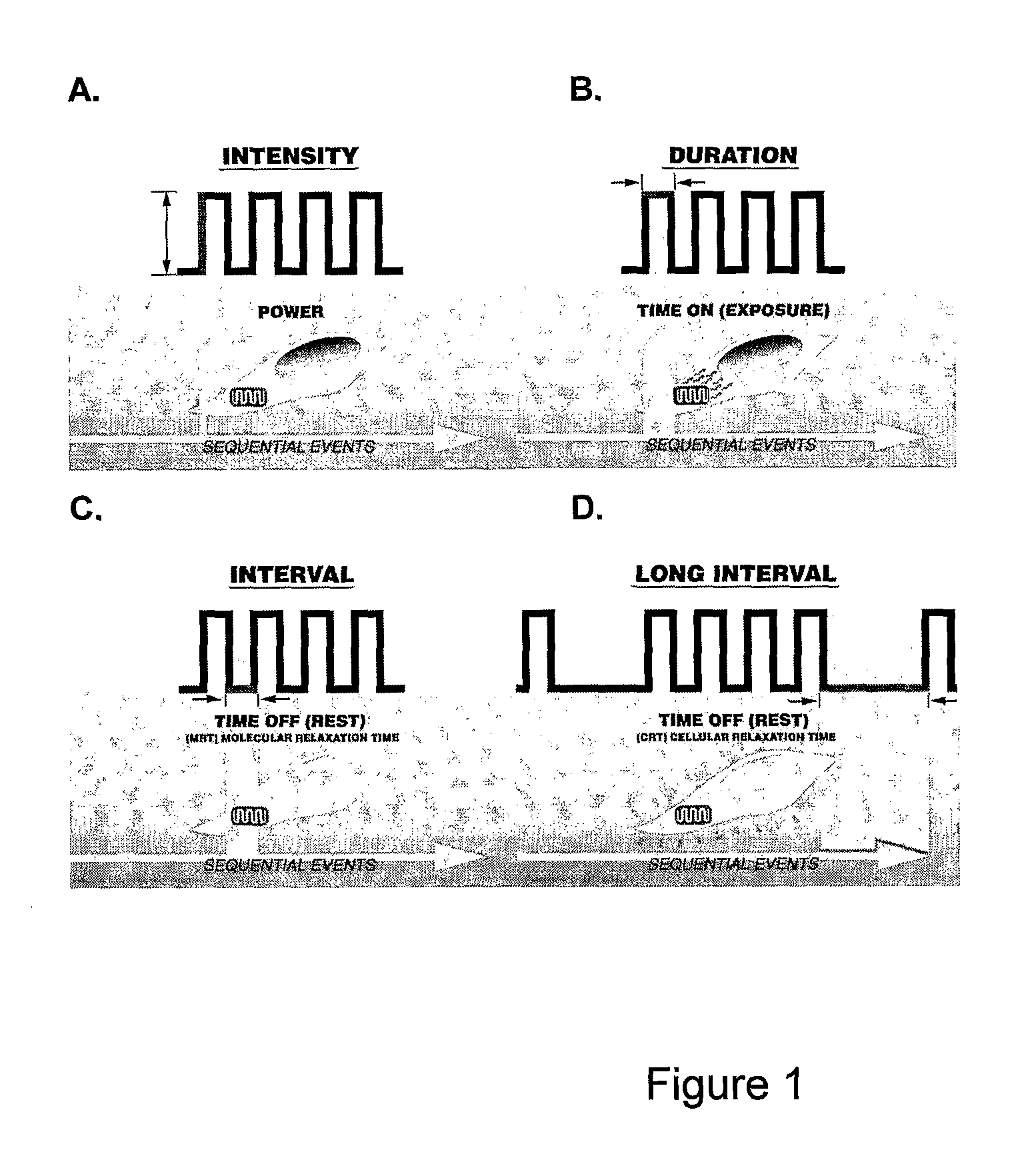 Method for the Treatment of Mammalian Skin Tissues Via Pulse Irradiation in the Presence of a Photoactive Compound