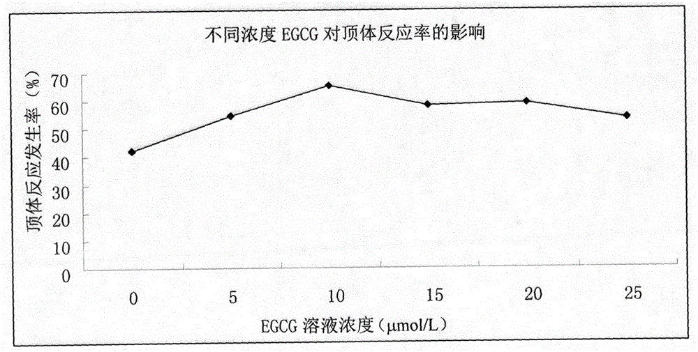 Method for in vitro capacitation of rabbit sperms and nutrient solution formula