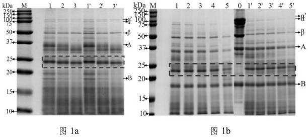 A method for detecting allergenic peptides of soybean conglycinin and eliminating allergenicity of soybean conglycinin
