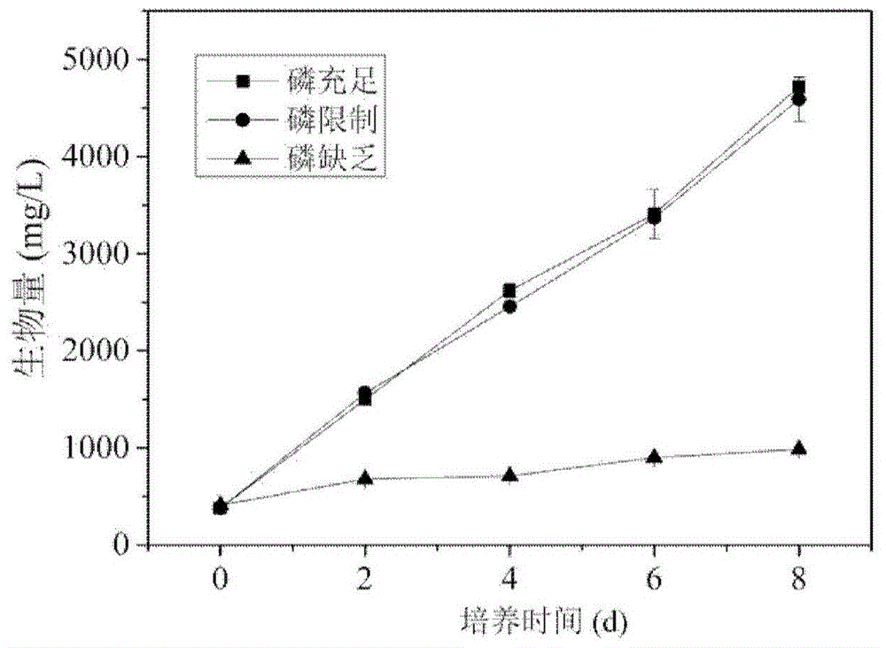 A method for increasing the yield of fatty acid in microalgae under heterotrophic conditions