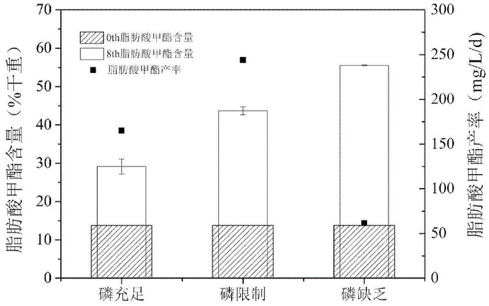 A method for increasing the yield of fatty acid in microalgae under heterotrophic conditions