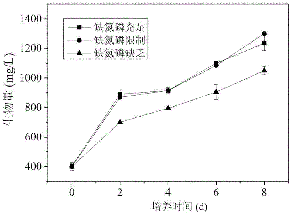 A method for increasing the yield of fatty acid in microalgae under heterotrophic conditions