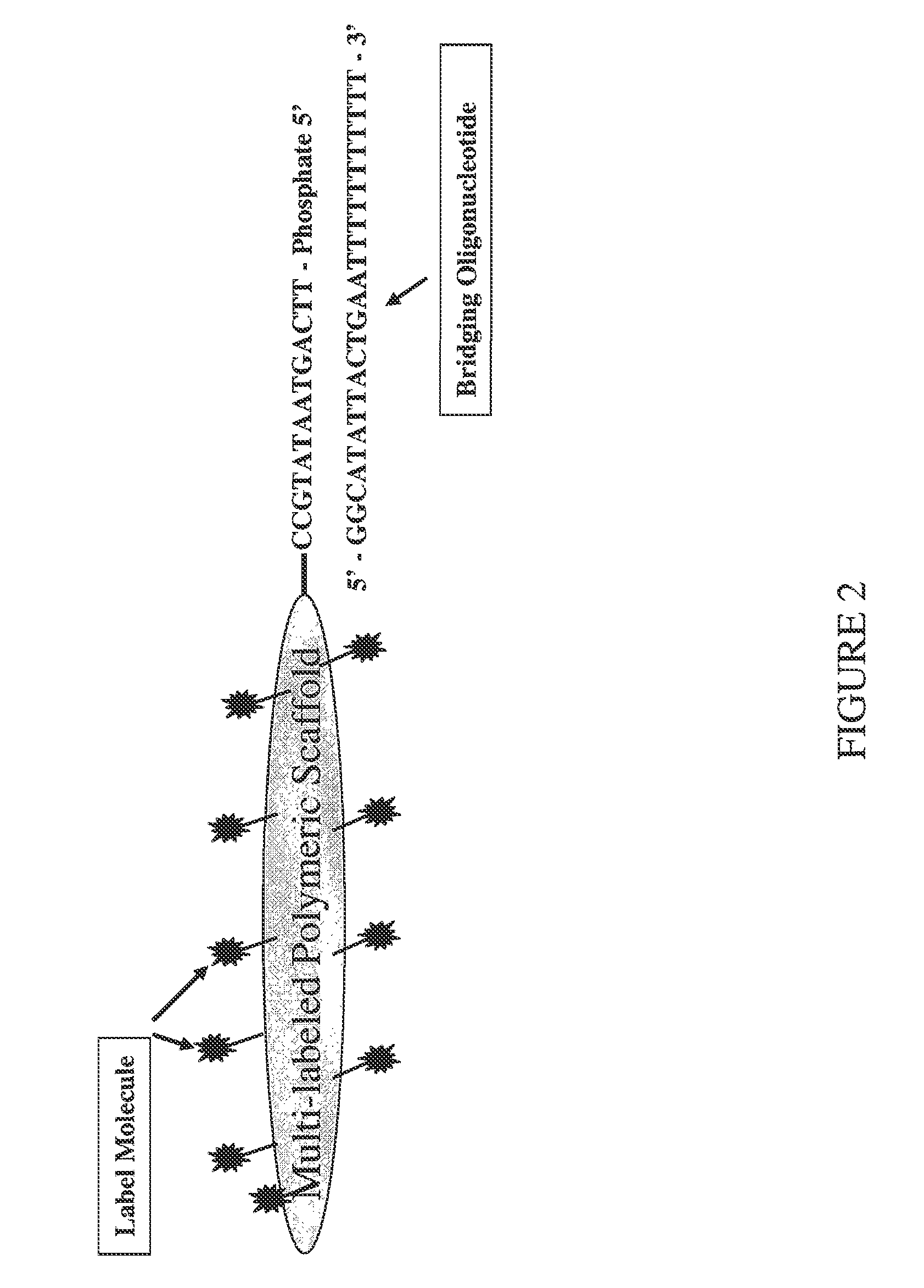 Methods, Reagents and Kits for Detection of Nucleic Acid Molecules