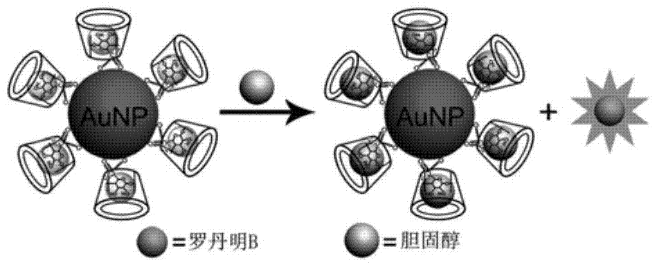 Preparation method of β-cyclodextrin-gold nanoparticles and detection method of cholesterol
